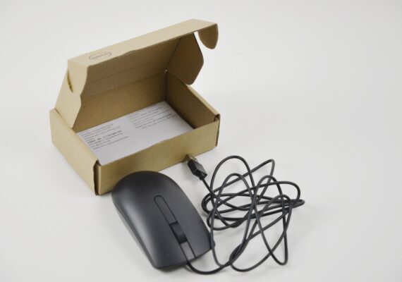 Dell MS116p Kabelgebundene USB Maus Schwarz