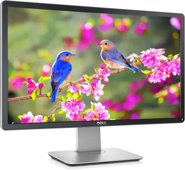 Dell P2314H · 23 inches · 1920 × 1080 · IPS · 60 Hz · Good (B)