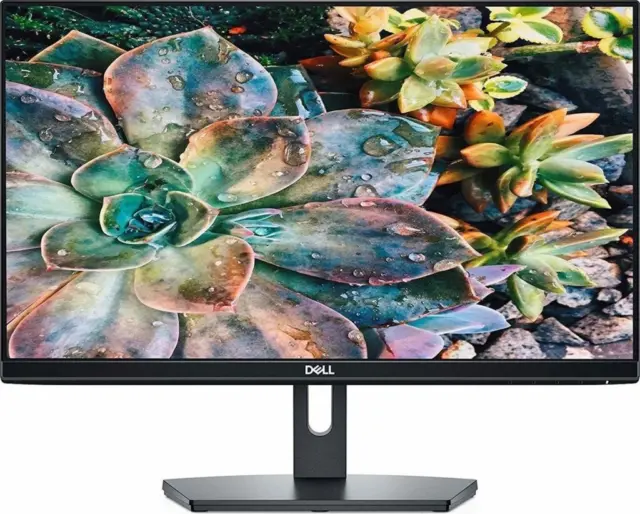 Dell SE2219H · 21.5 inches · 1920 × 1080 · IPS · 60 Hz · Very good (A)