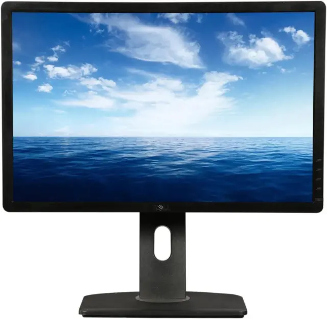 Dell P2213 · 22 inches · 1680 × 1050 · TN · 60 Hz · Very good (A)