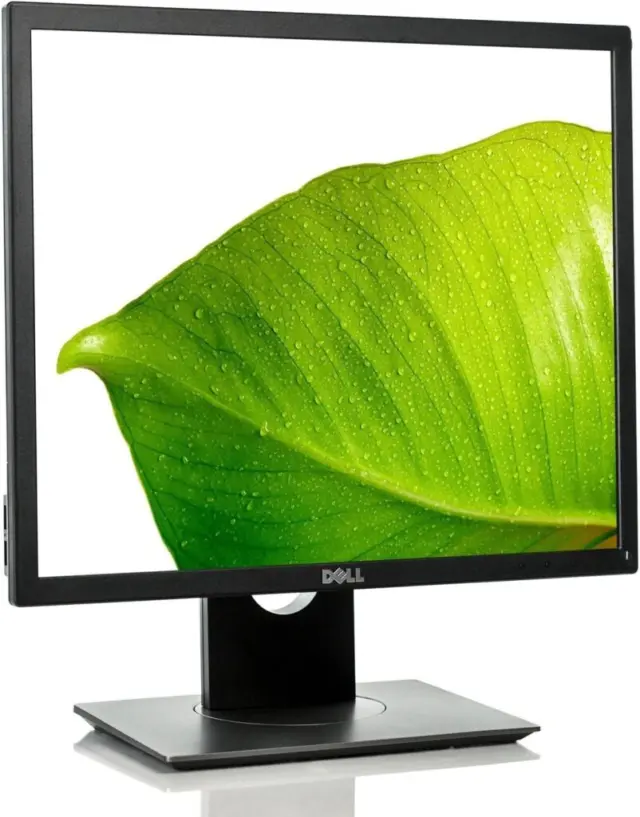 Dell P1917S · 19 Zoll · 1280 × 1024 · IPS · 60 Hz · Sehr gut (A)