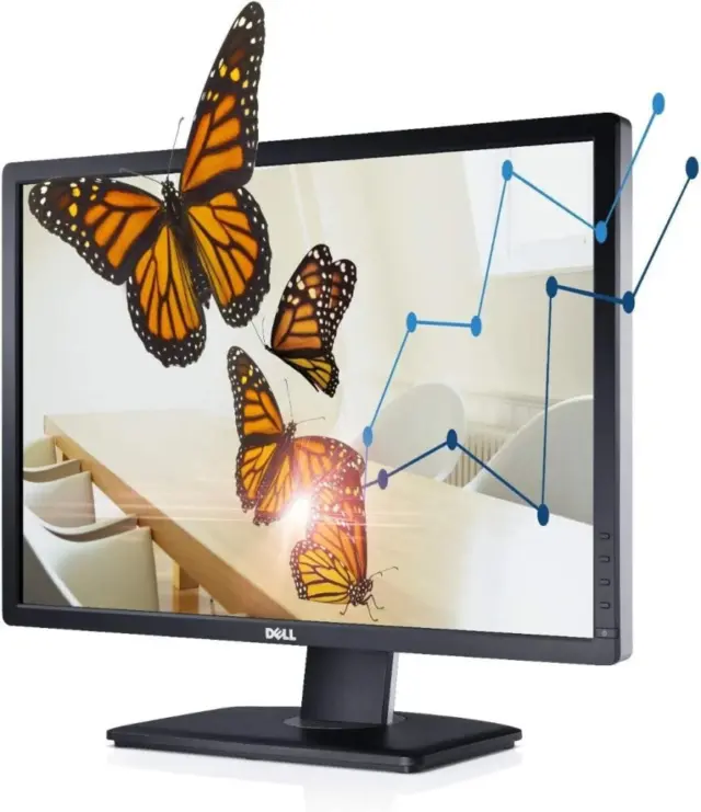 Dell U2412MC · 24 Zoll · 1920 × 1200 · IPS · 60 Hz · Sehr gut (A)