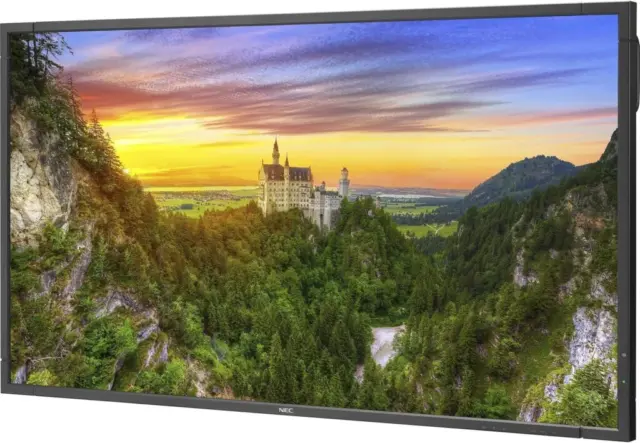 NEC MultiSync X981UHD-2 · 98 inches · 3840 x 2160 · LCD · 60 Hz · Very good (A)