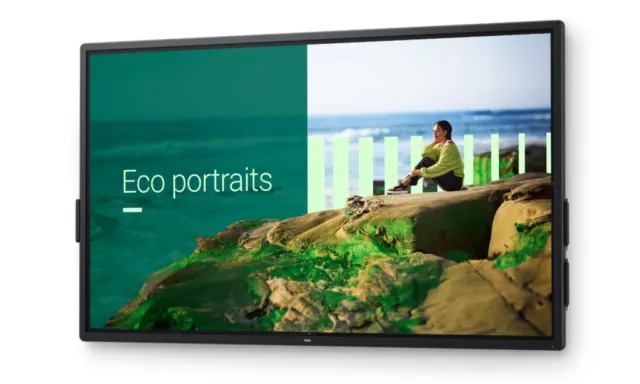 Dell P7525QT · 74.5 inches · 3840 × 2160 · IPS · 60 Hz · Very good (A)