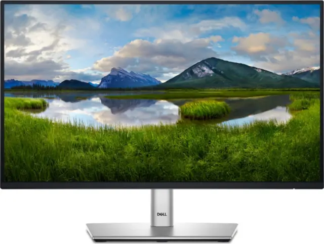 Dell P2225H · 22 Zoll · 1920 x 1080 · IPS LED · 100 Hz · Sehr gut (A)
